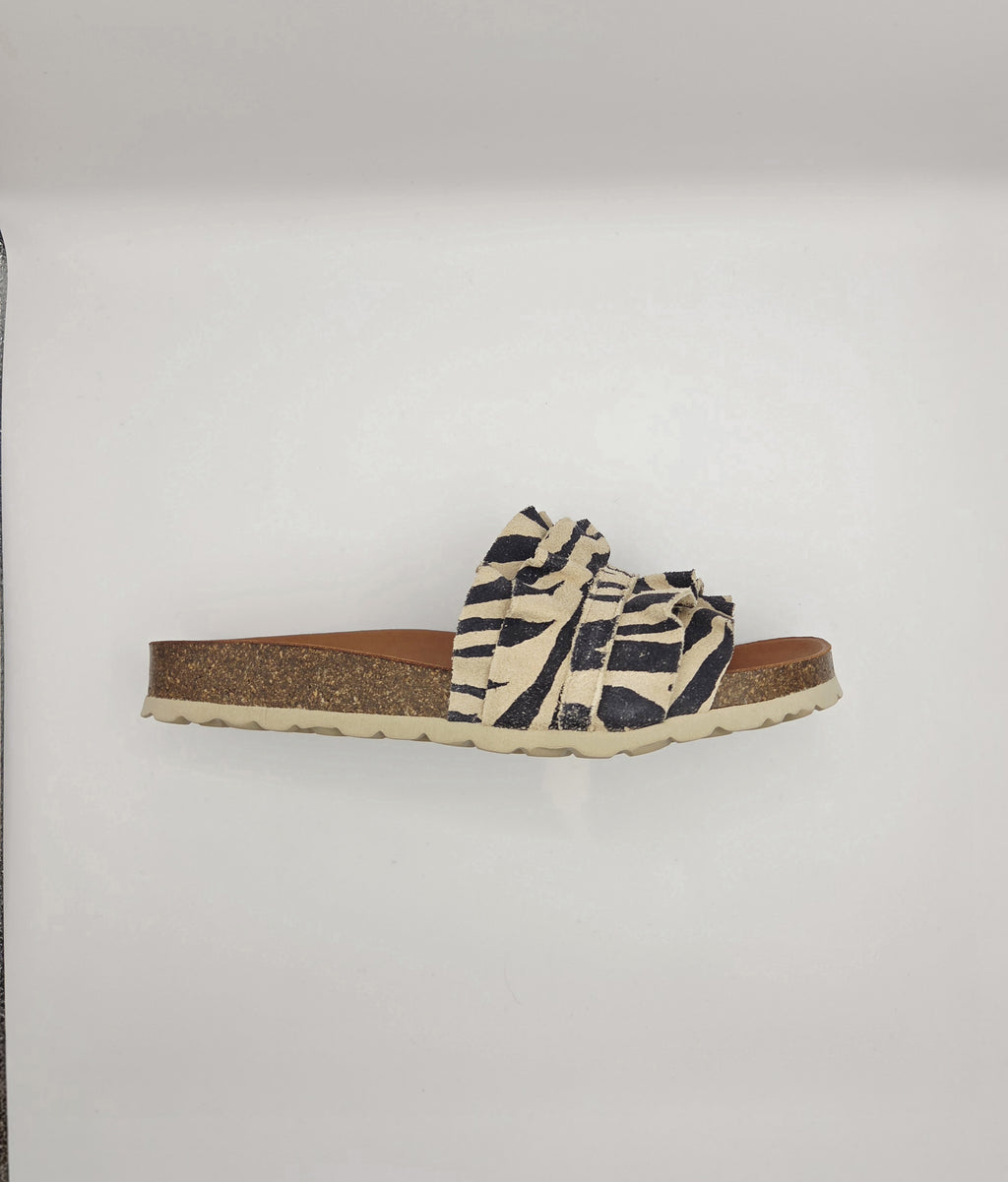 Verbenas Rocio Zebra Camel
