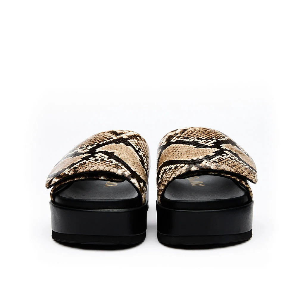 Hael & Jax Allure Slide Neutral Snake