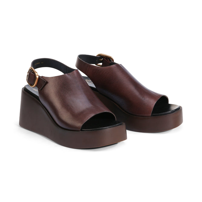 EOS Ariani Chestnut