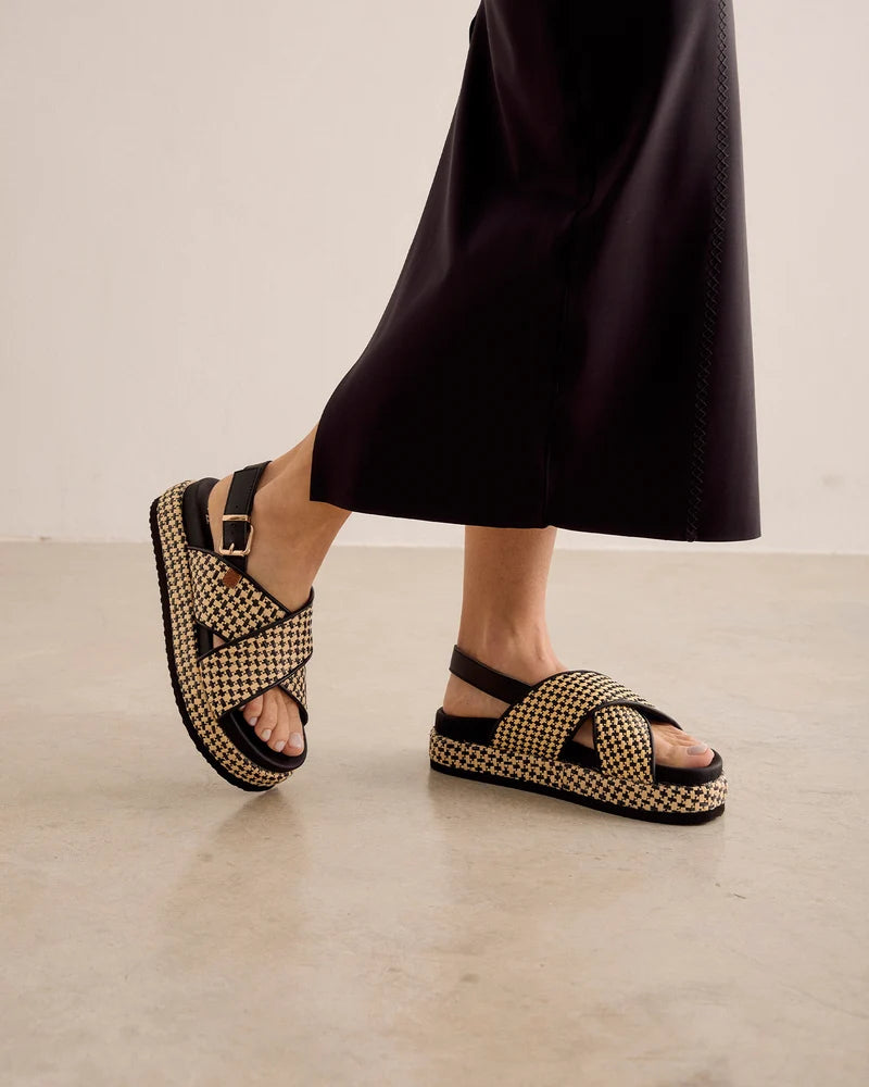 Popa Basset Black