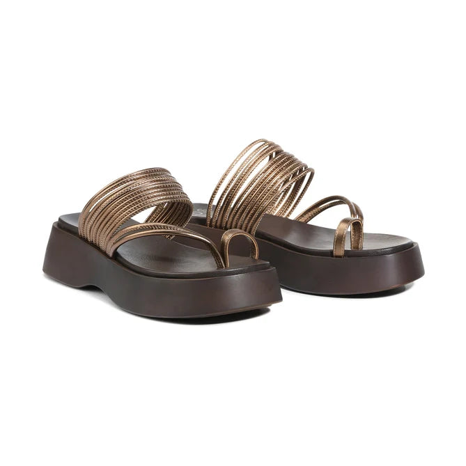 EOS Bari Bronze