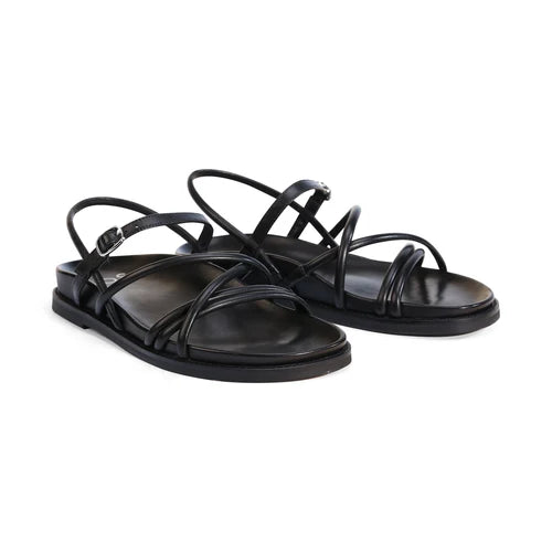 EOS Carmina Black