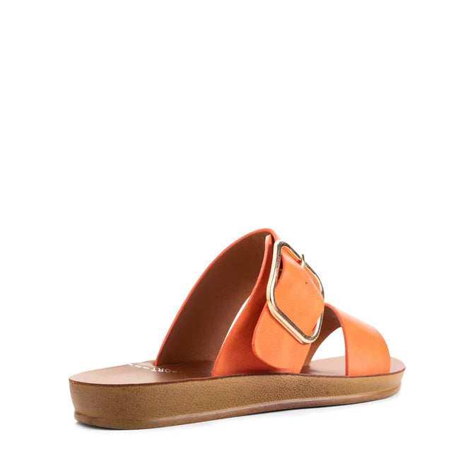 Los Cabos Doti Tangerine