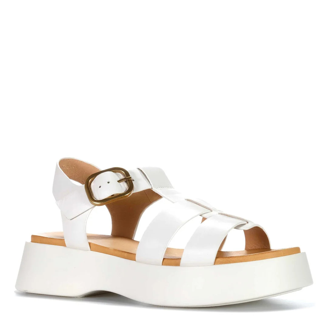 EOS Bario Bone