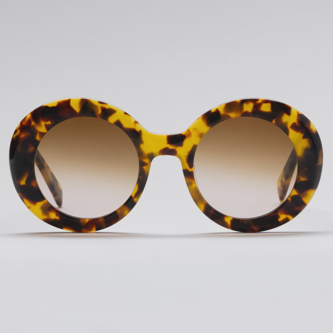 Happy To Sit On Your Face Lila Tortoiseshell