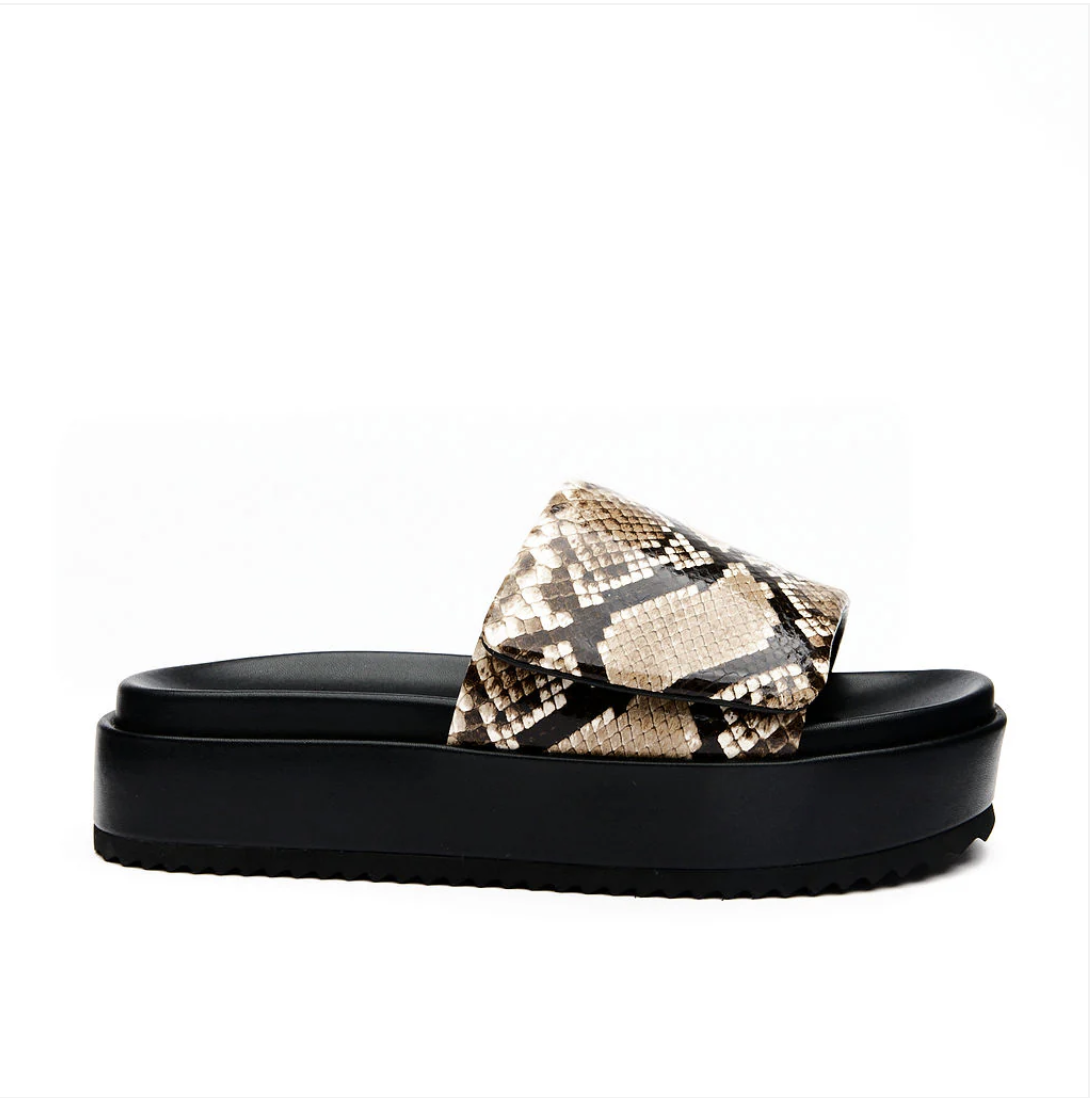 Hael & Jax Allure Slide Neutral Snake