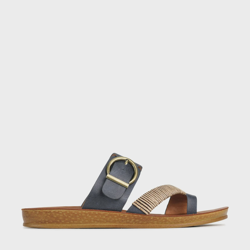 Los Cabos Bria Navy